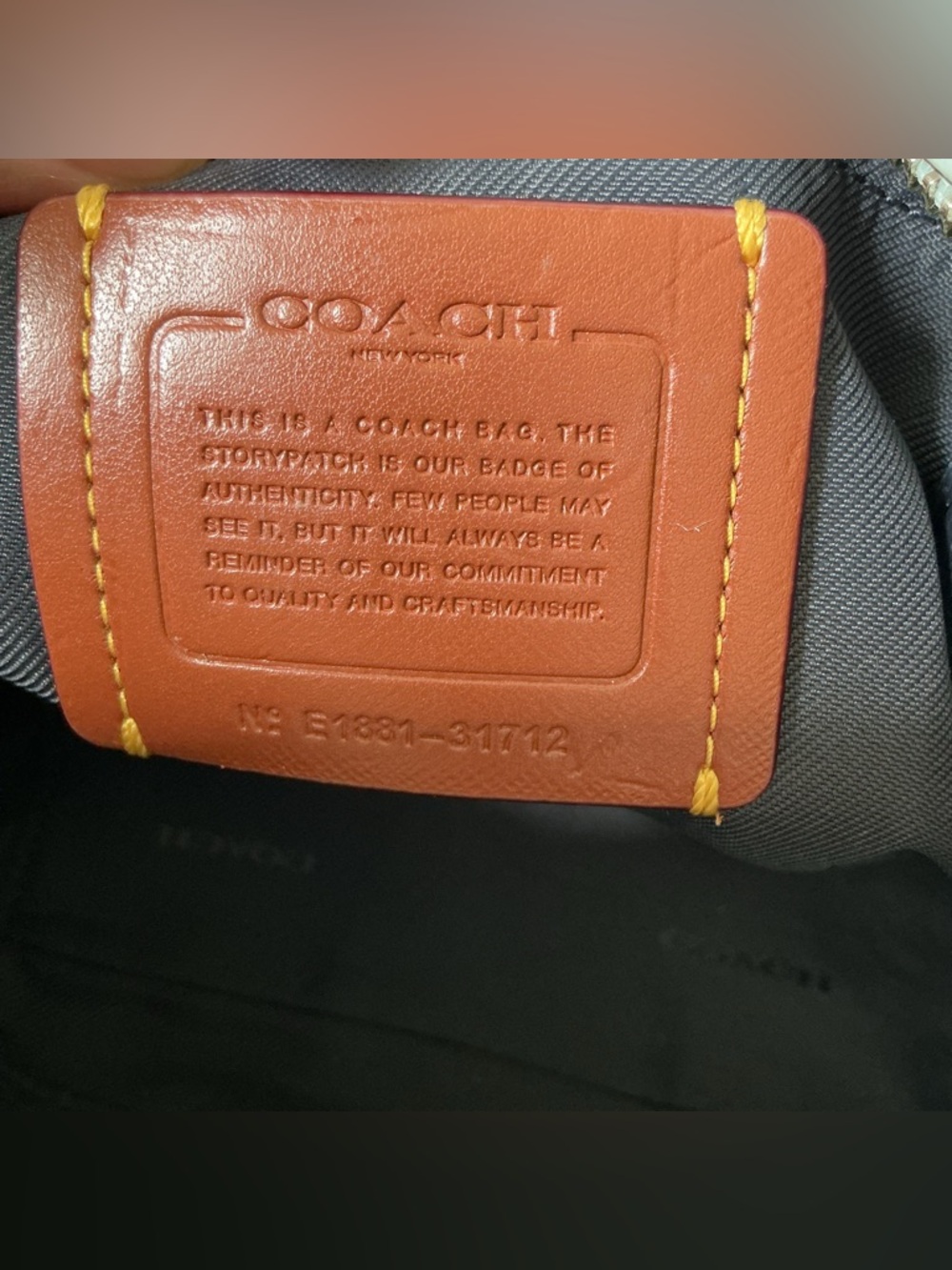 Coach Rose Print Camera Bag - Picture 3 of 7